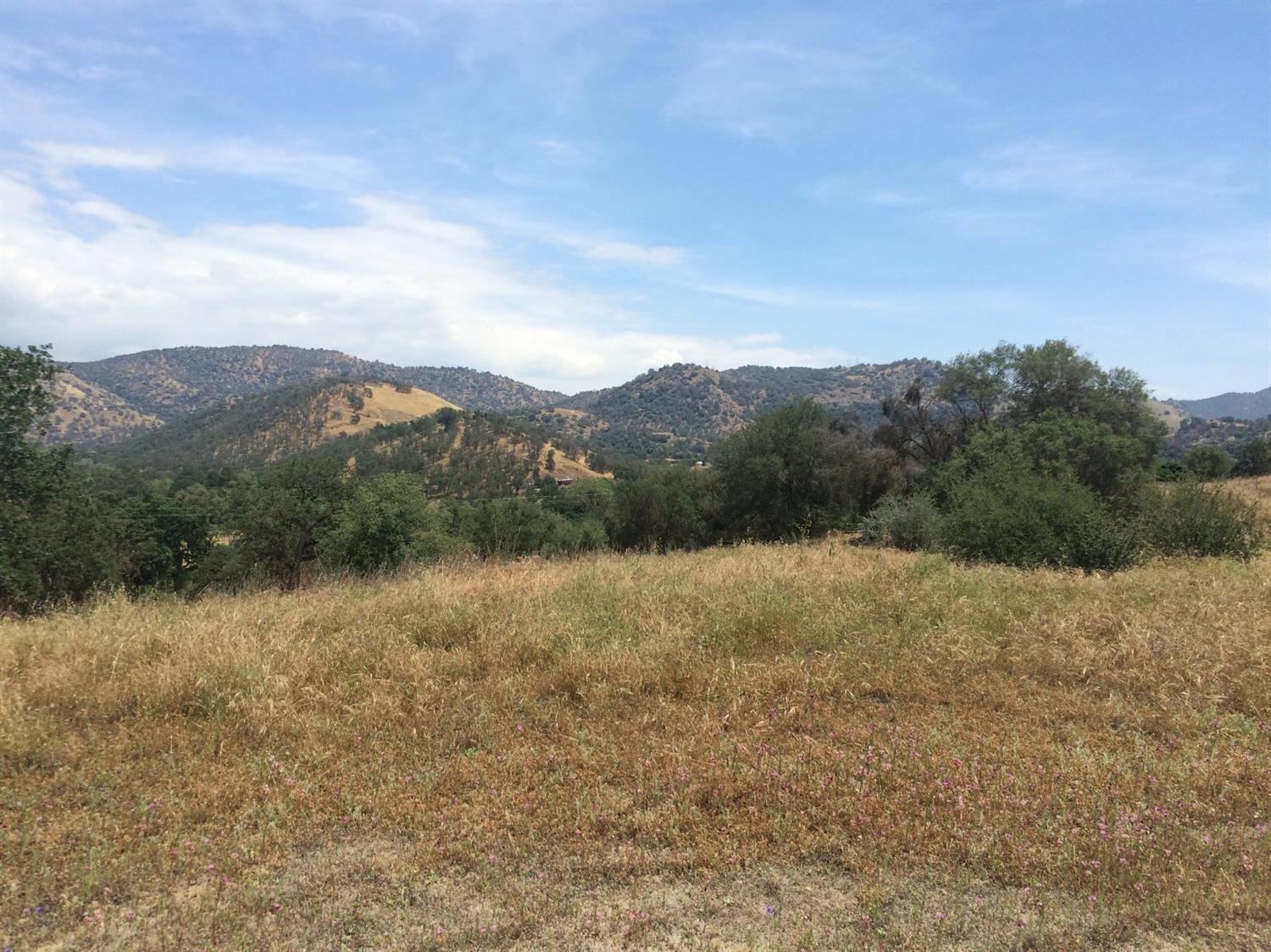 0 Ripple Lane Squaw Valley, CA 93675 - Photo 2 of 5 Gallery Image 2