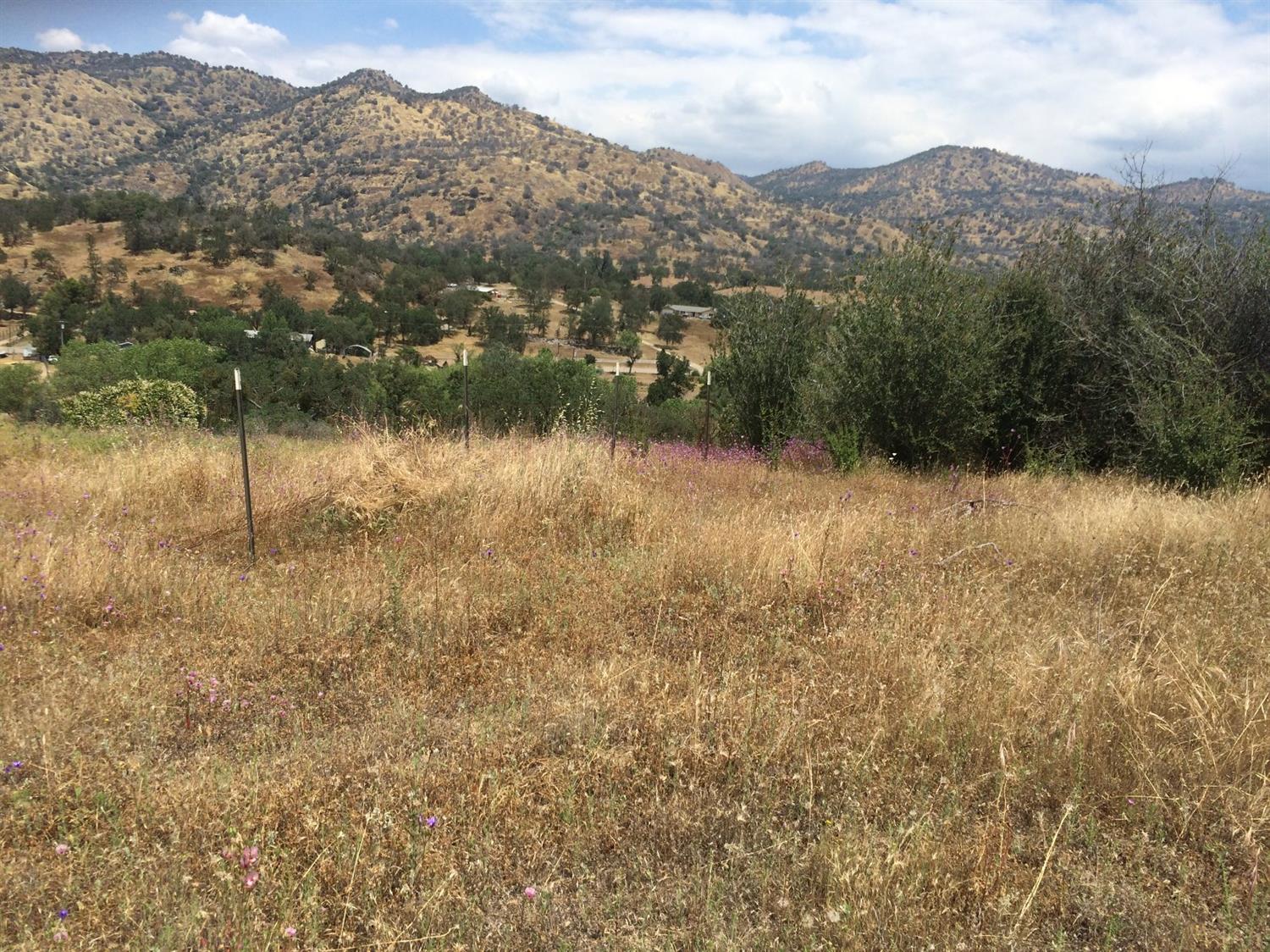 0 Ripple Lane Squaw Valley, CA 93675 - Photo 3 of 5 Gallery Image 3