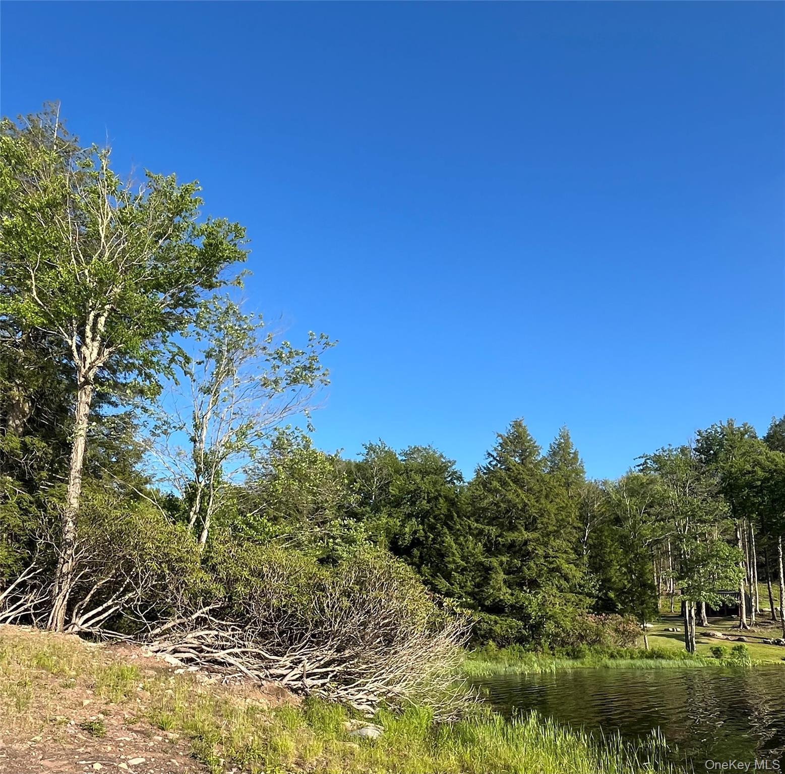 47 Eagles Ridge Way Parksville, NY 12768 - Photo 8 of 19
