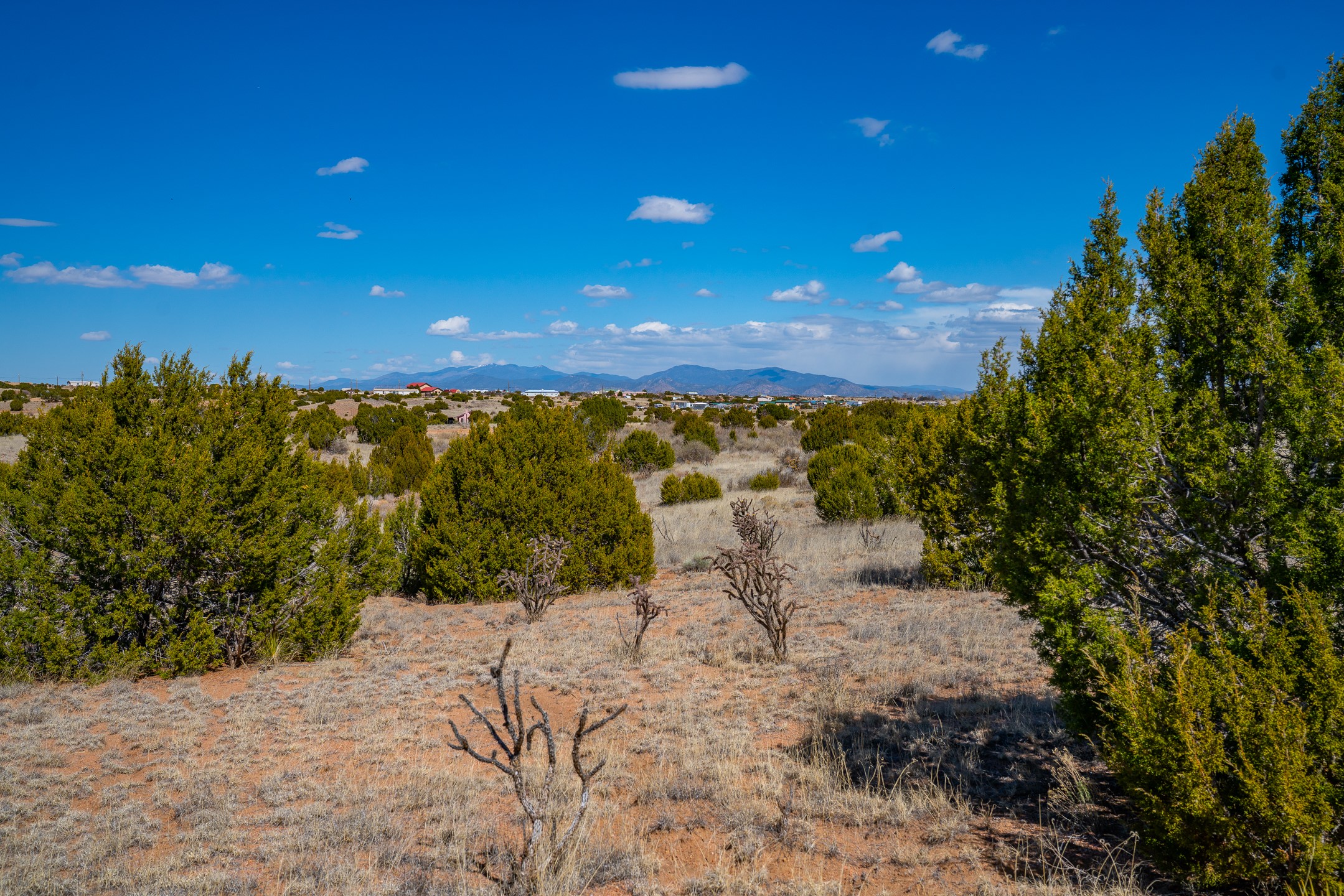 0 Crazy Rabbit Drive Santa Fe, NM 87508 - Photo 6 of 25