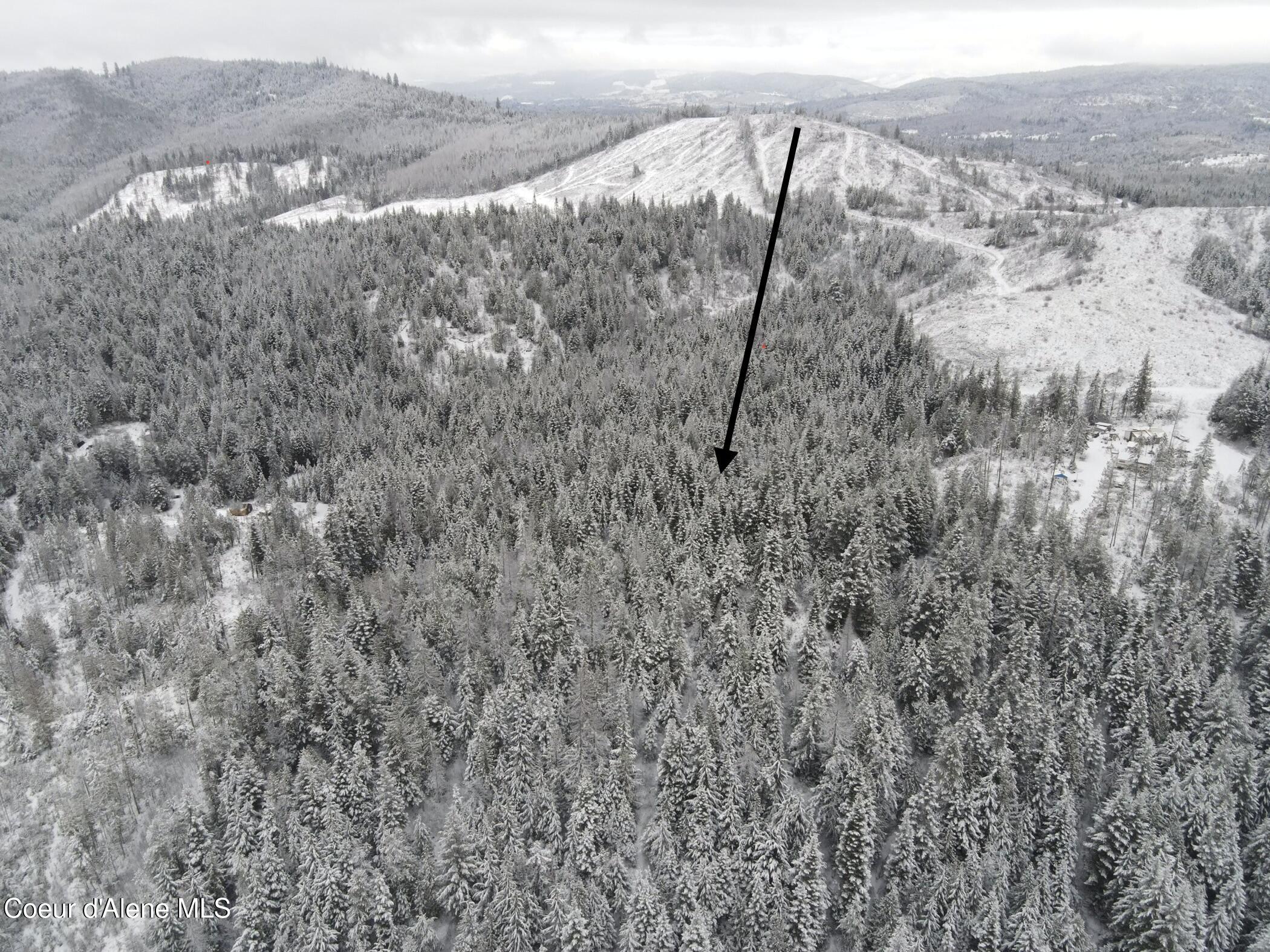 dji_fly_20251203_142828_276_176636386401