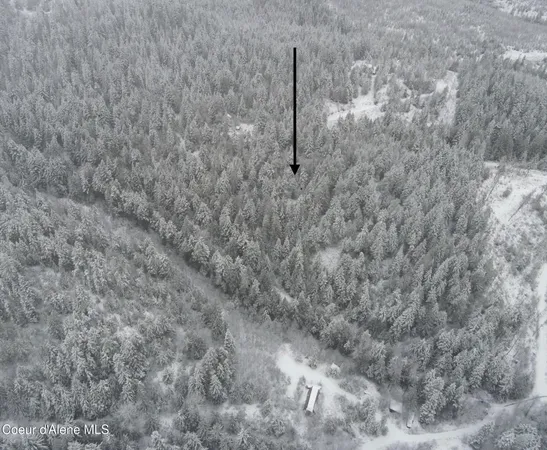 $40,000 | 393 East Ridge Road, St. Maries, ID 83861