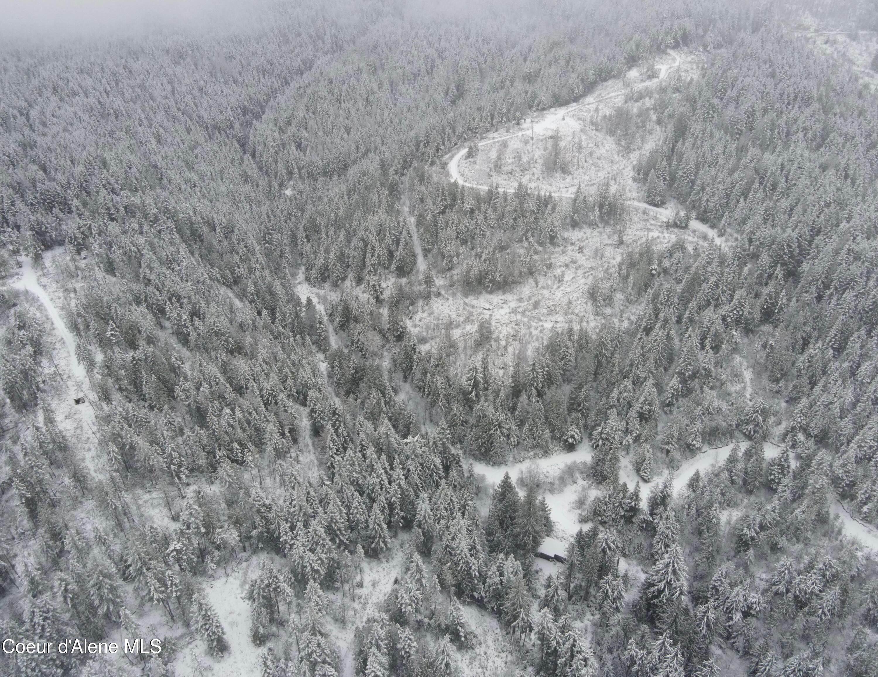 393 East Ridge Road St. Maries, ID 83861 - Photo 3 of 5 dji1