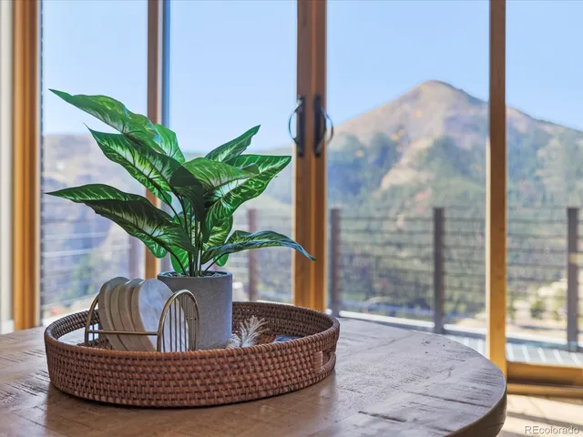 a plant with a glass door