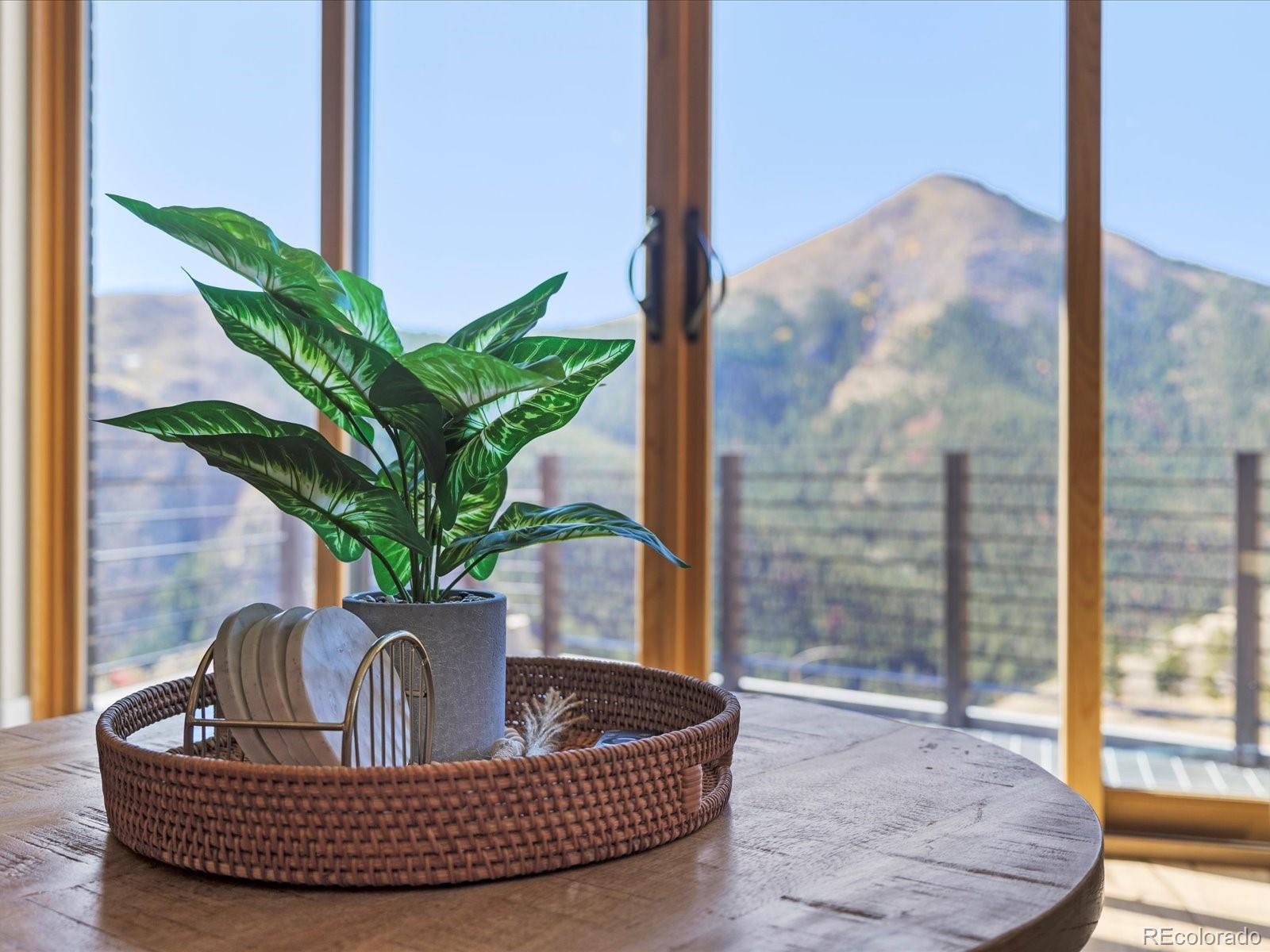 718 Emerson Gulch Road Boulder, CO 80302 - Photo 8 of 42 a plant with a glass door