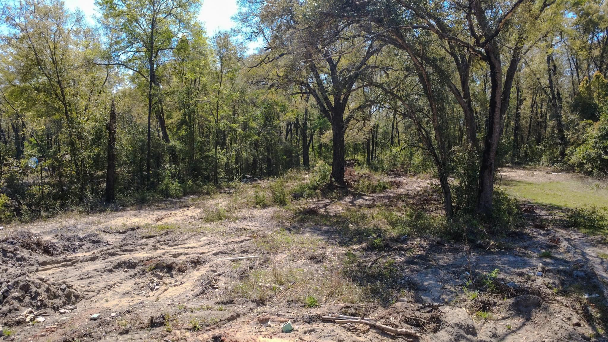 213 Hannon Mill Road Tallahassee, FL 32305 - Photo 4 of 10