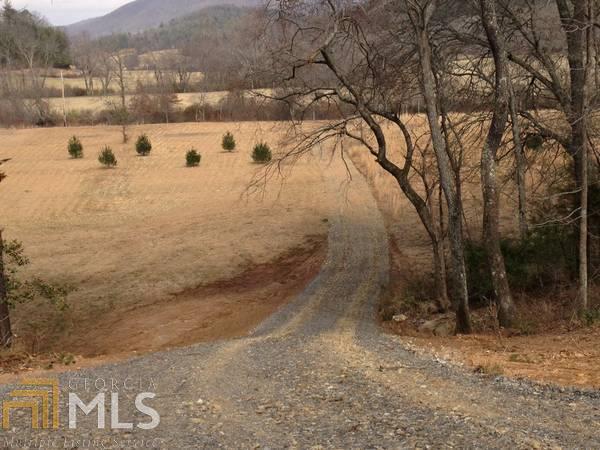 0 Indian Village Road, Unit 11 Blue Ridge, GA 30513 - Photo 1 of 1 GRAVEL DRIVE