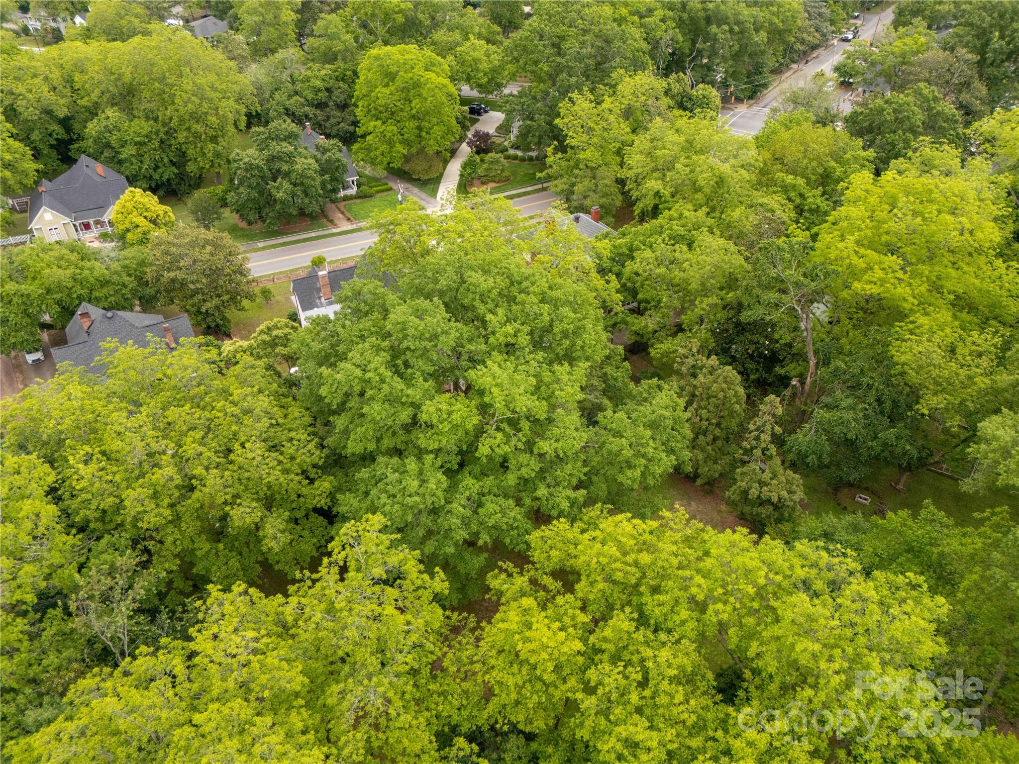 7 Kings Mountain Street York, SC 29745 - Photo 45 of 46 a view of a large yard with lots of trees