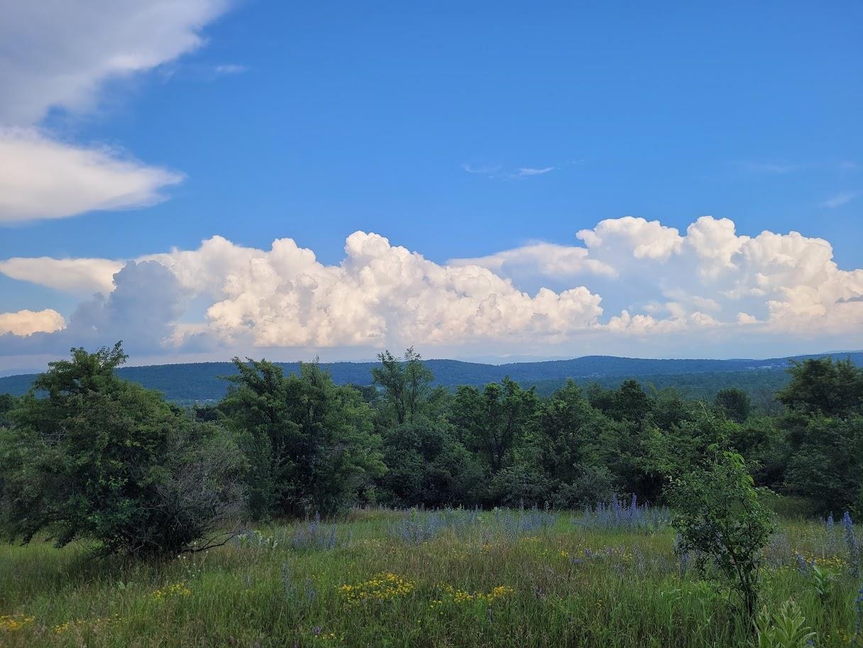 631 North Cream Hill Road Shoreham, VT 05770 - Photo 55 of 56