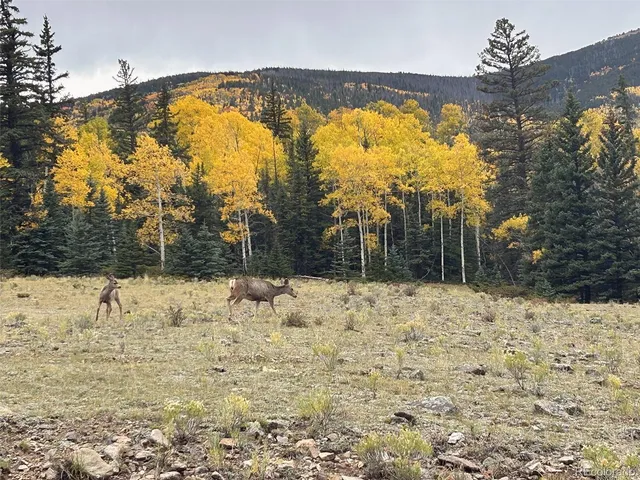 $1,300,000 | 45950 Rainbow Trail, Villa Grove, CO 81155