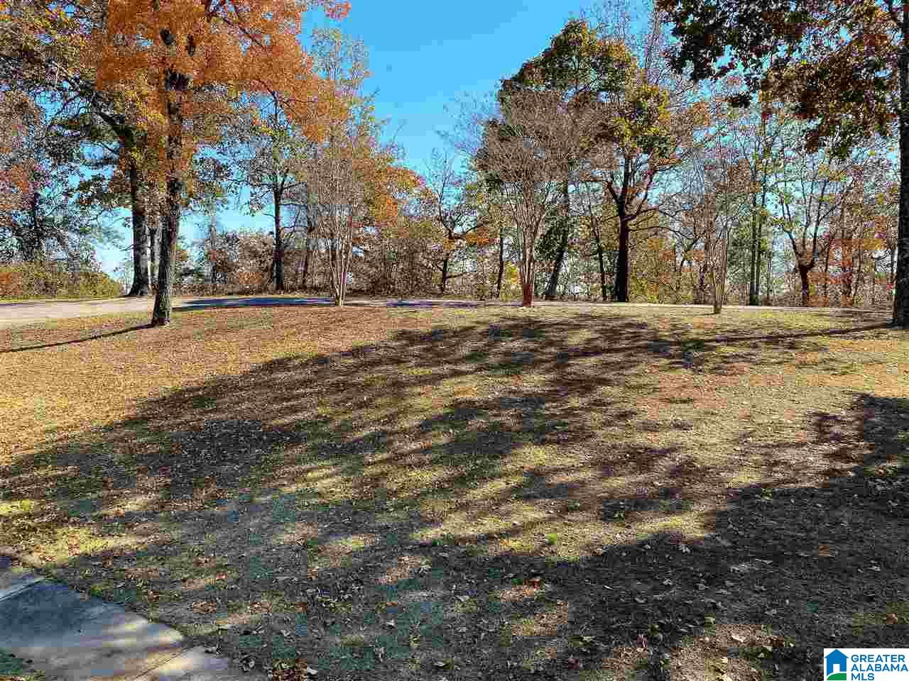 7541 Springer Road McCalla, AL 35111 - Photo 40 of 43