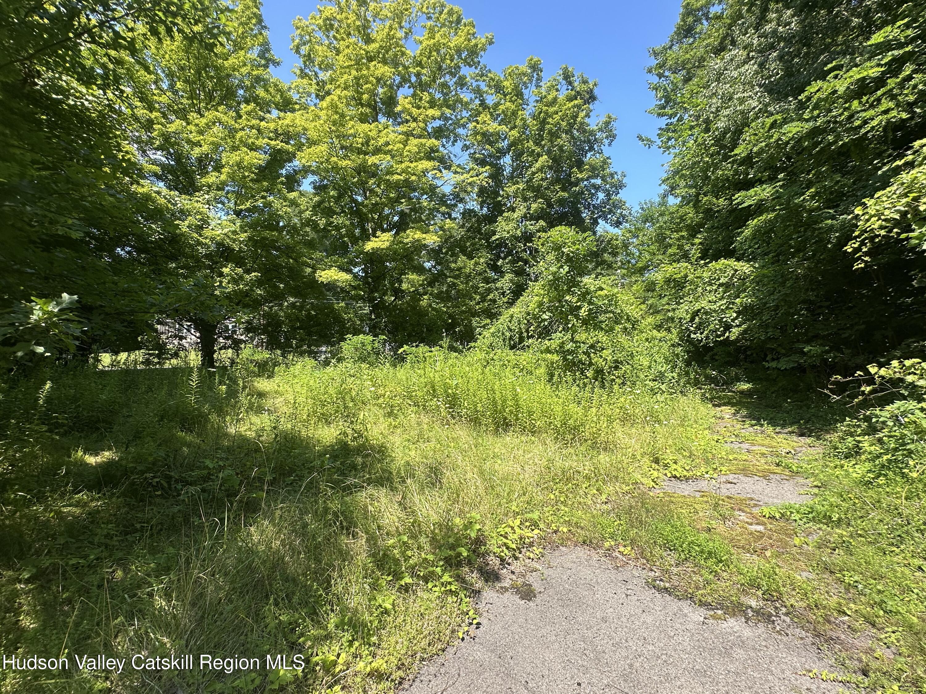 40 Lake Mills Road Cairo, NY 12413 - Photo 2 of 12 IMG_6230
