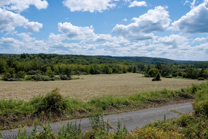 14 Hunter Road West Amwell, NJ 08530 - Photo 29 of 41 a view of a street with a yard