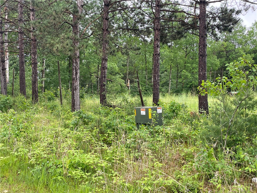 0 Loon Lake Road Spooner, WI 54801 - Photo 13 of 28