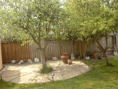 7587 Bobbie Way Rohnert Park, CA 94928 - Photo 8 of 11 Shade Tree In Rear Yard
