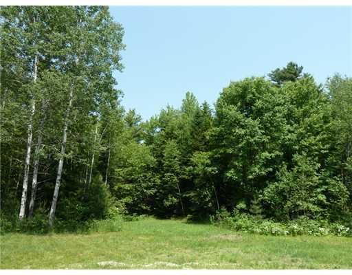 238 Old Brunswick Road Durham, ME 04222 - Photo 15 of 16 Yard/Garden.