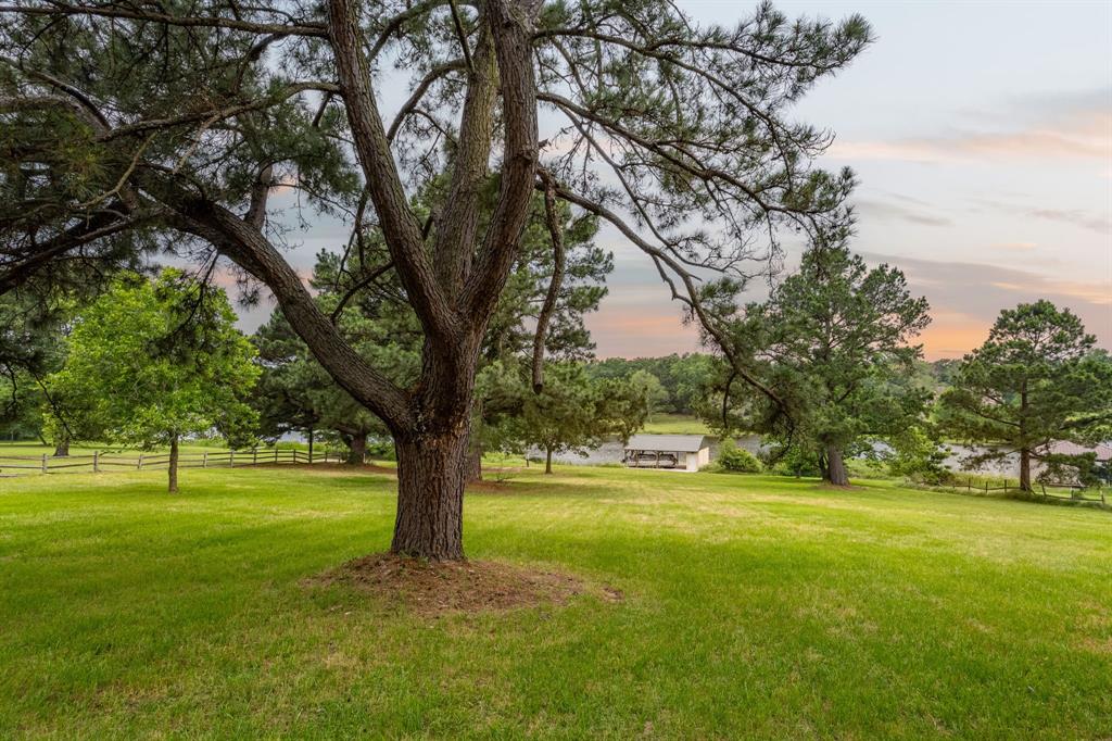5327 Dusty Road Athens, TX 75752 - Photo 9 of 35 a view of an trees with a big yard