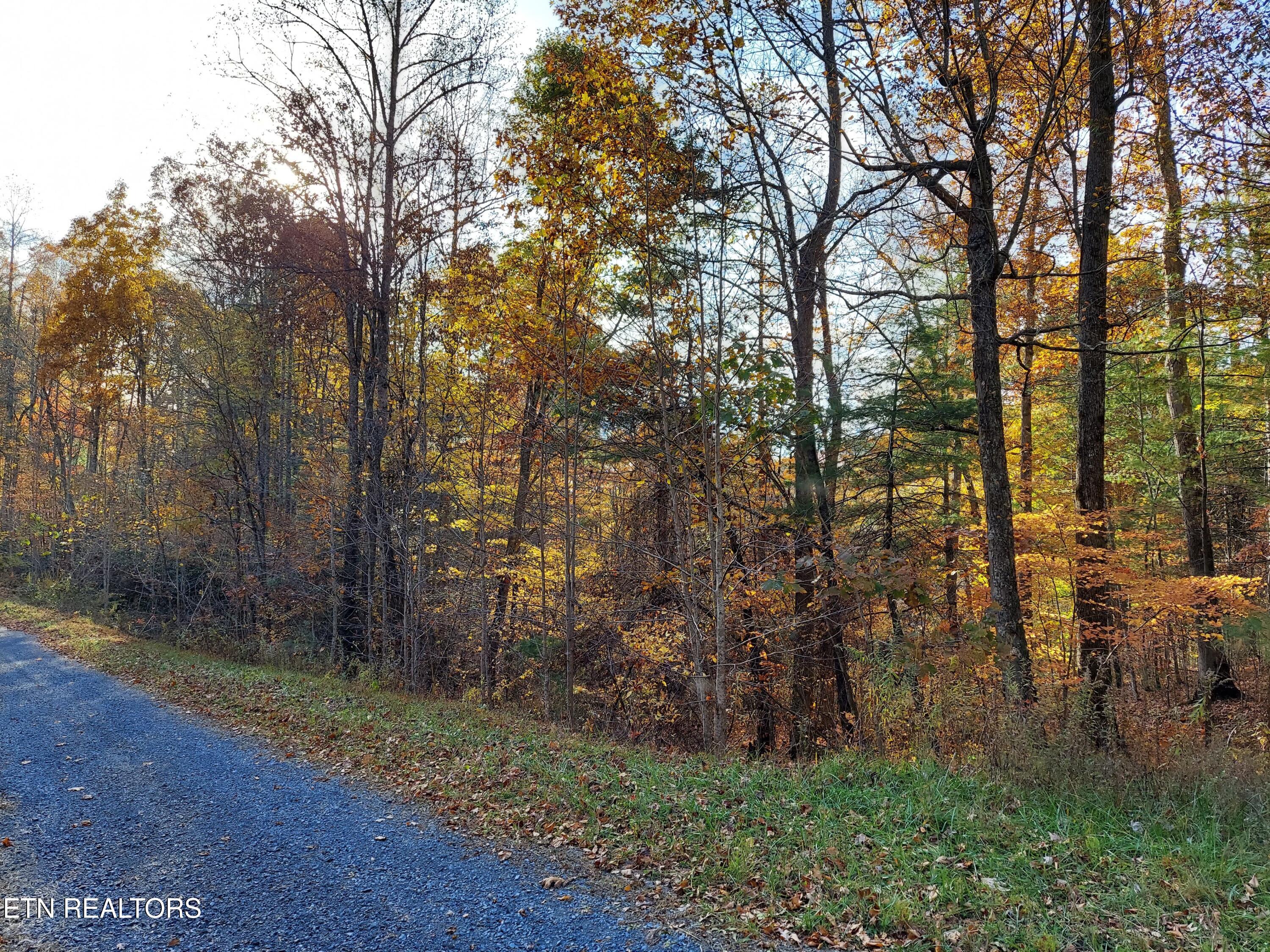 Lot 19 Sugar Maple Way Del Rio, TN 37727 - Photo 12 of 20 312542202_3056502034639714_4228388714299