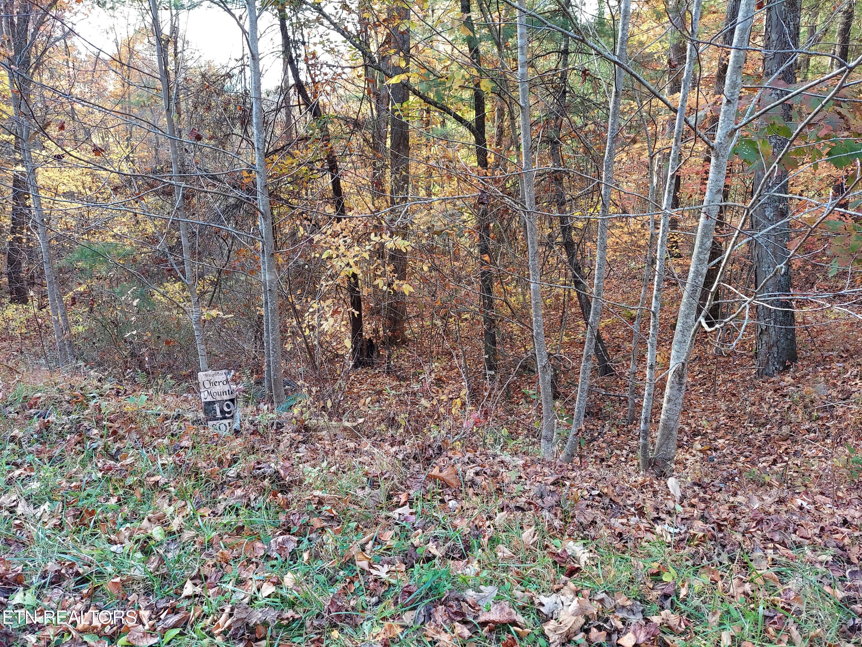 Lot 19 Sugar Maple Way Del Rio, TN 37727 - Photo 14 of 20 312639815_589412829649206_36746010427065
