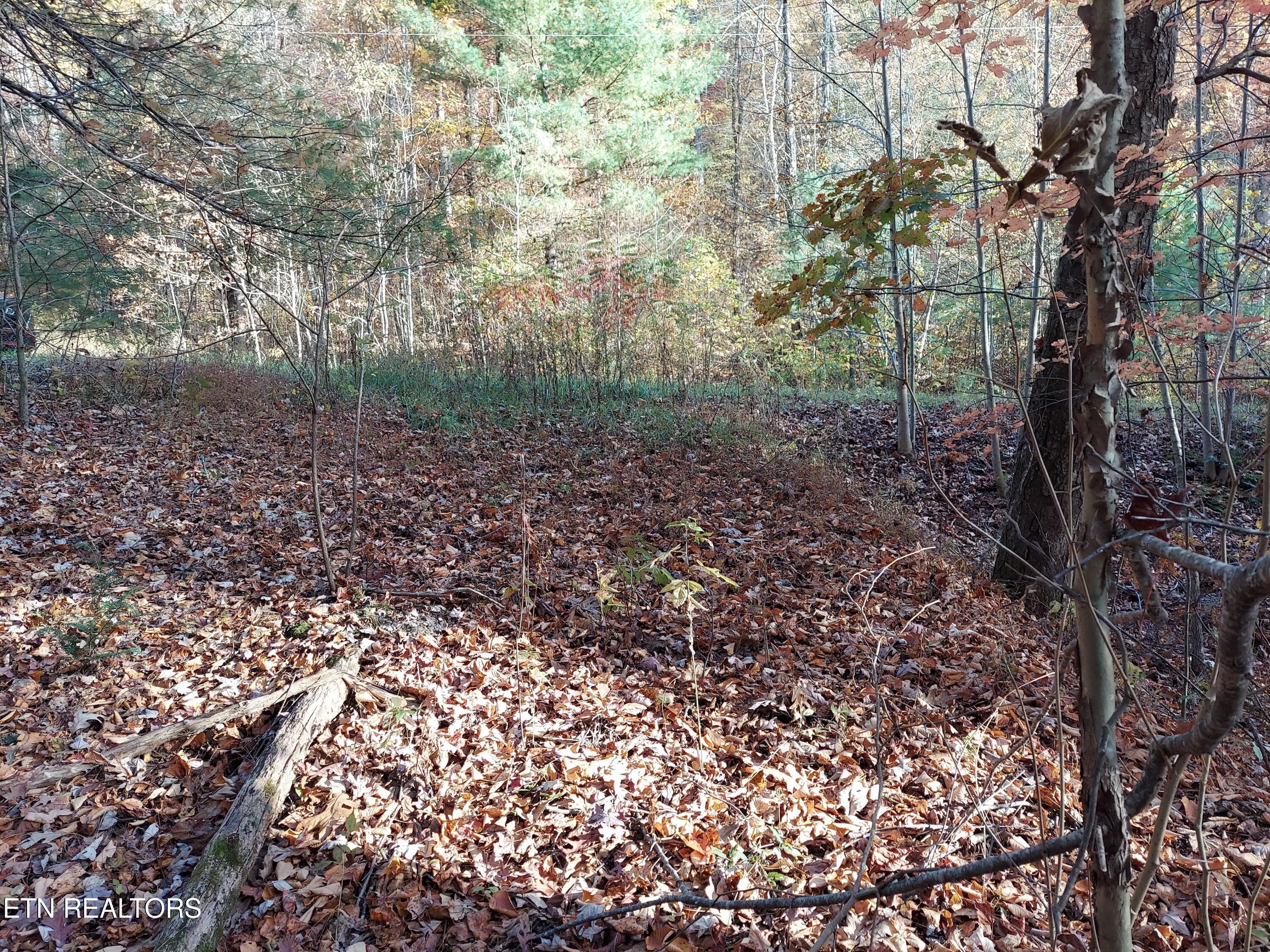 Lot 19 Sugar Maple Way Del Rio, TN 37727 - Photo 18 of 20 312920078_880300826301670_30031875782367