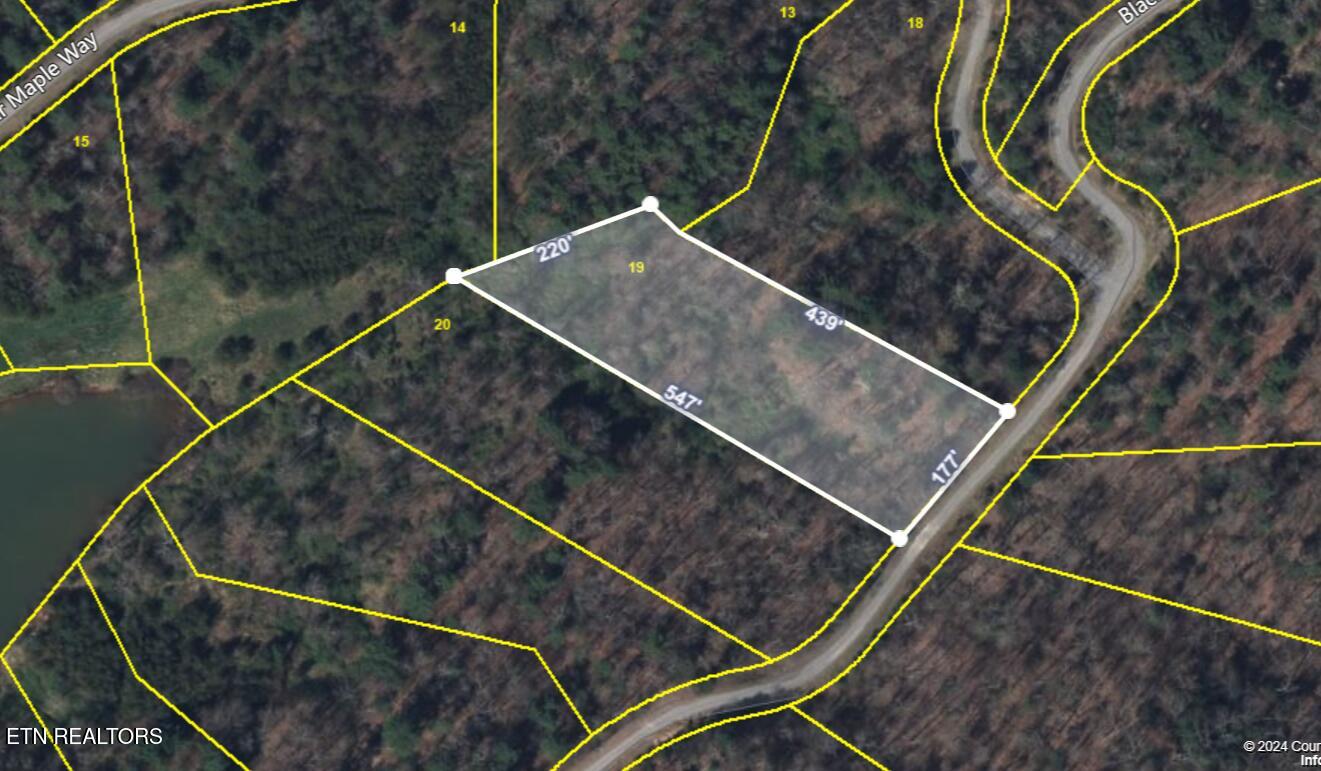 Lot 19 Sugar Maple Way Del Rio, TN 37727 - Photo 20 of 20 Screenshot (166)