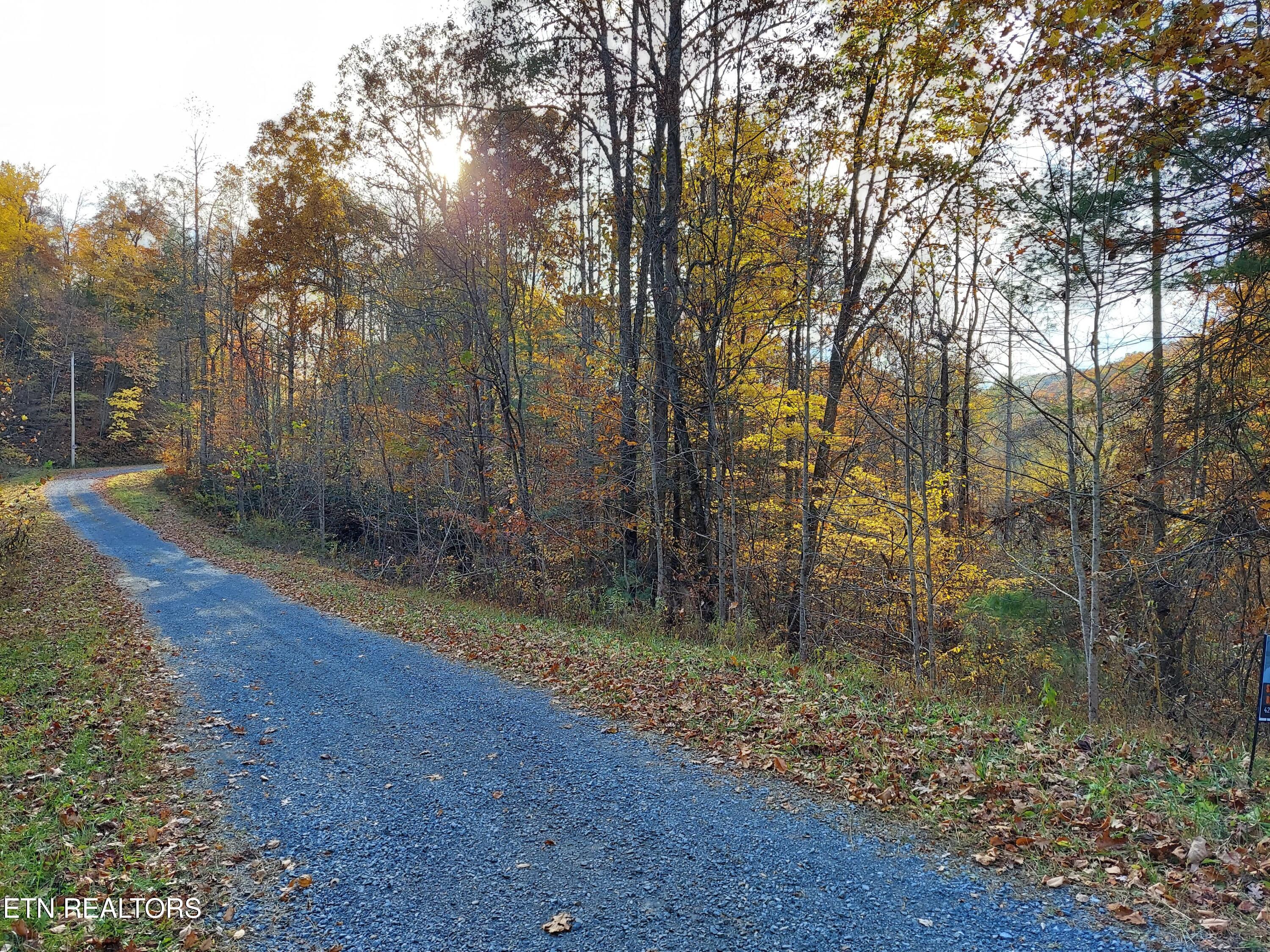 Lot 19 Sugar Maple Way Del Rio, TN 37727 - Photo 2 of 20 274461480_1550866228707337_3329141468351