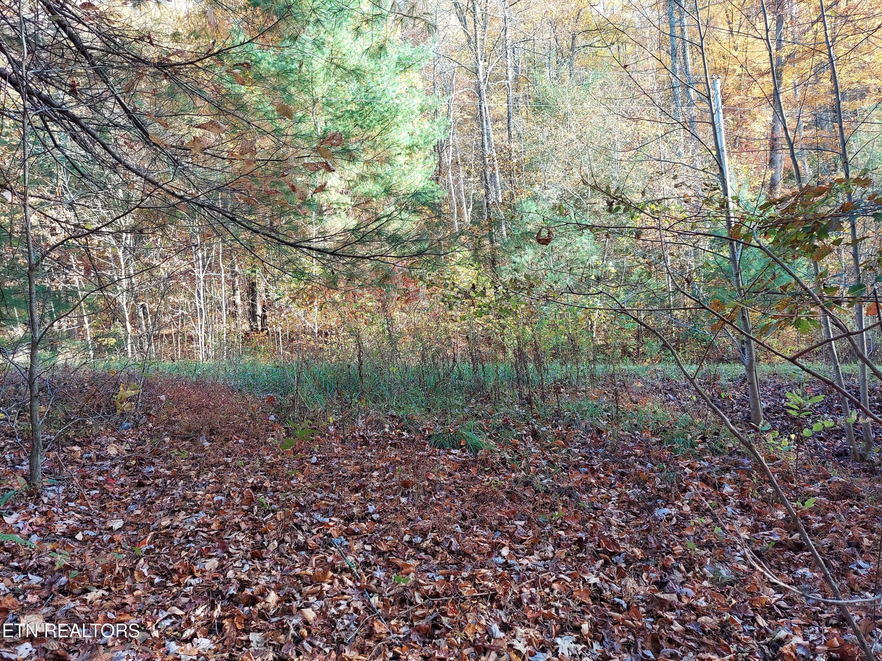 Lot 19 Sugar Maple Way Del Rio, TN 37727 - Photo 9 of 20 312493994_1563710954082271_6075199824991