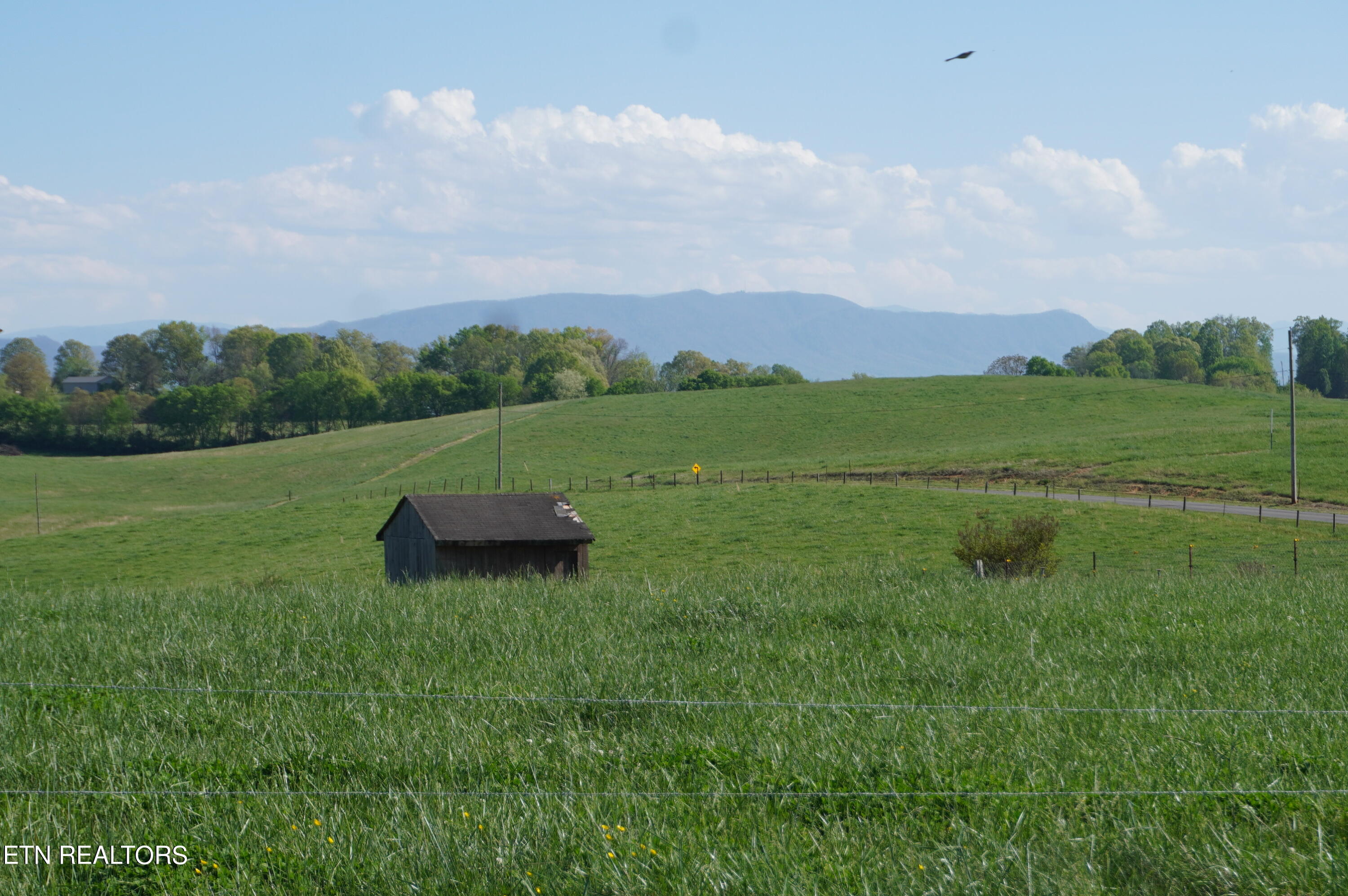 3030 Falcon Road White Pine, TN 37890 - Photo 1 of 44 primary 3030 falcon rd - carmichael (27)