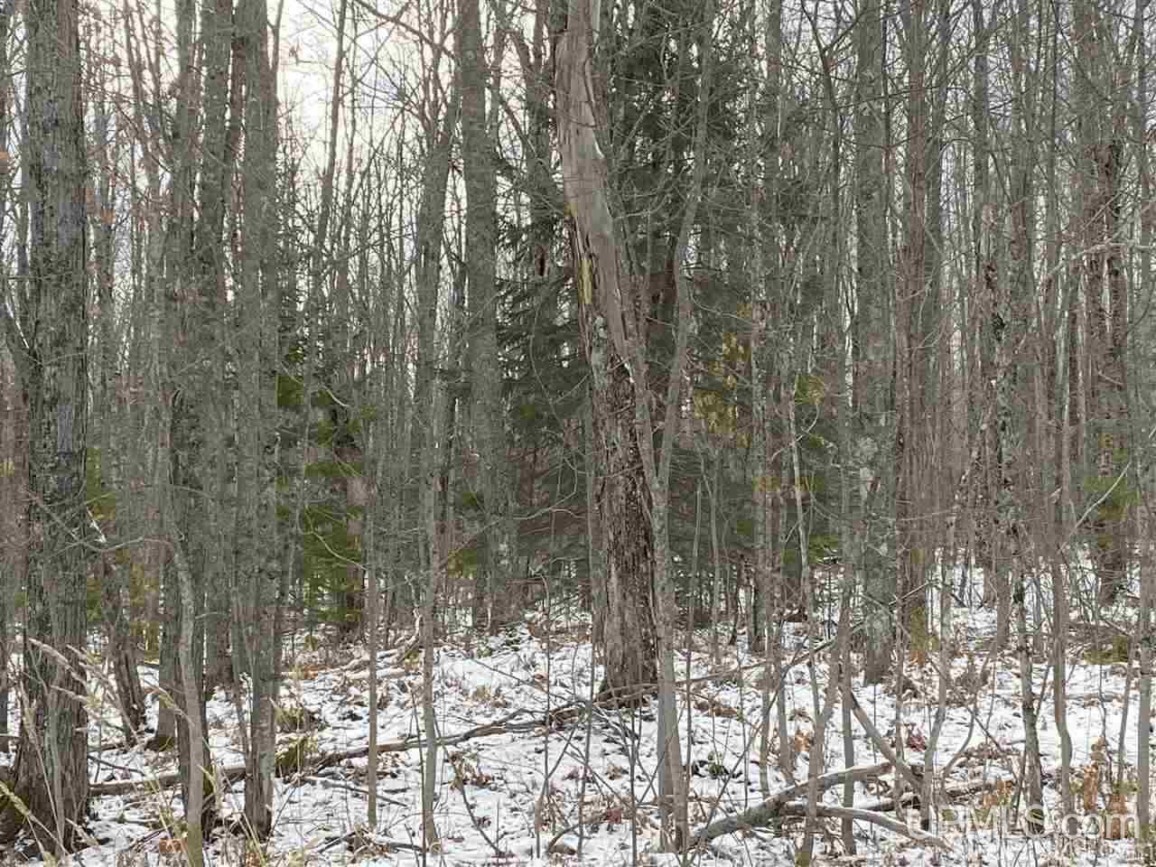 Tbd Portage Entry Road Chassell, MI 49916 - Photo 2 of 3
