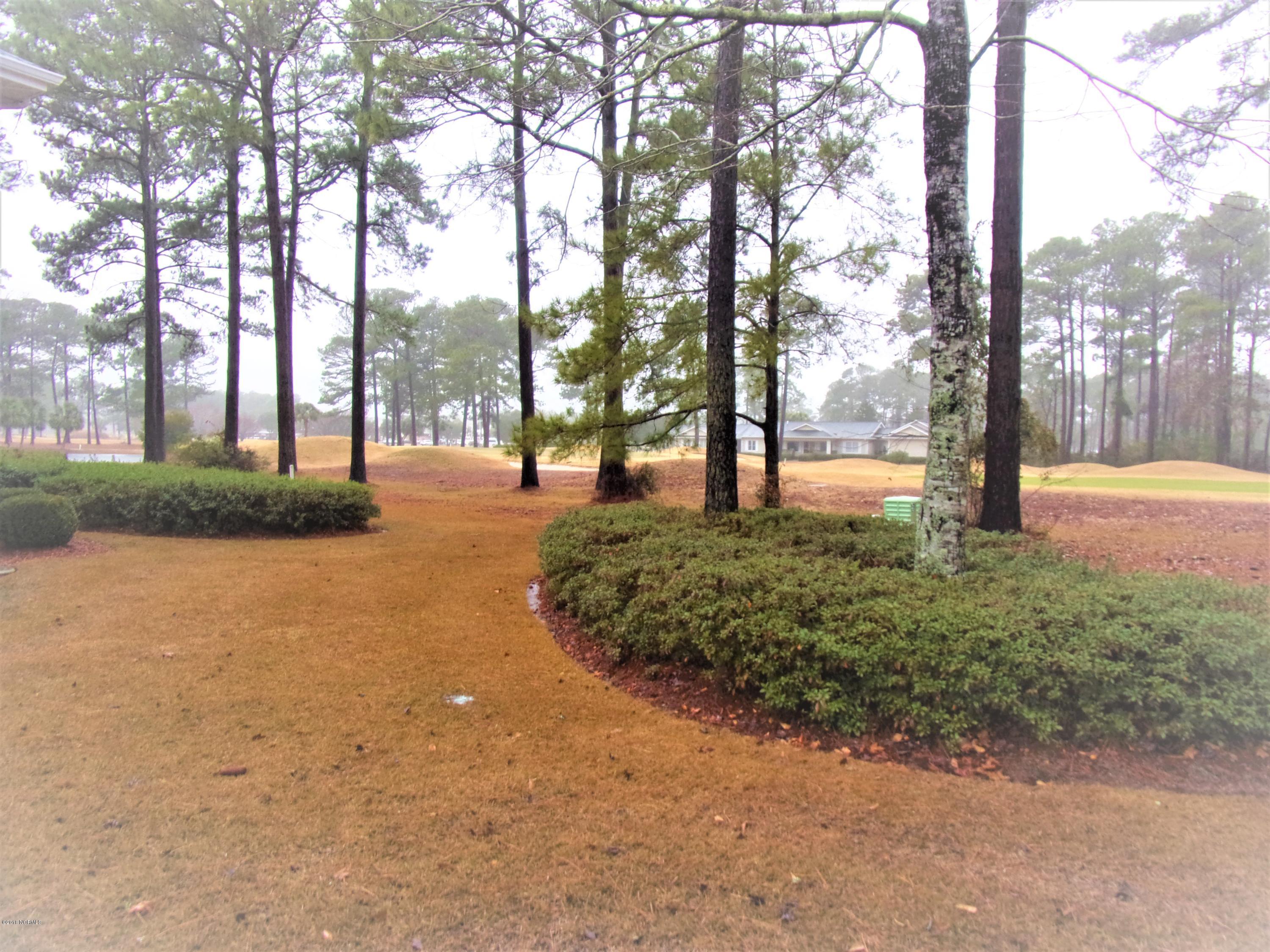 116 Rice Mill Circle, Unit 1 Sunset Beach, NC 28468 - Photo 24 of 24 rainy day view