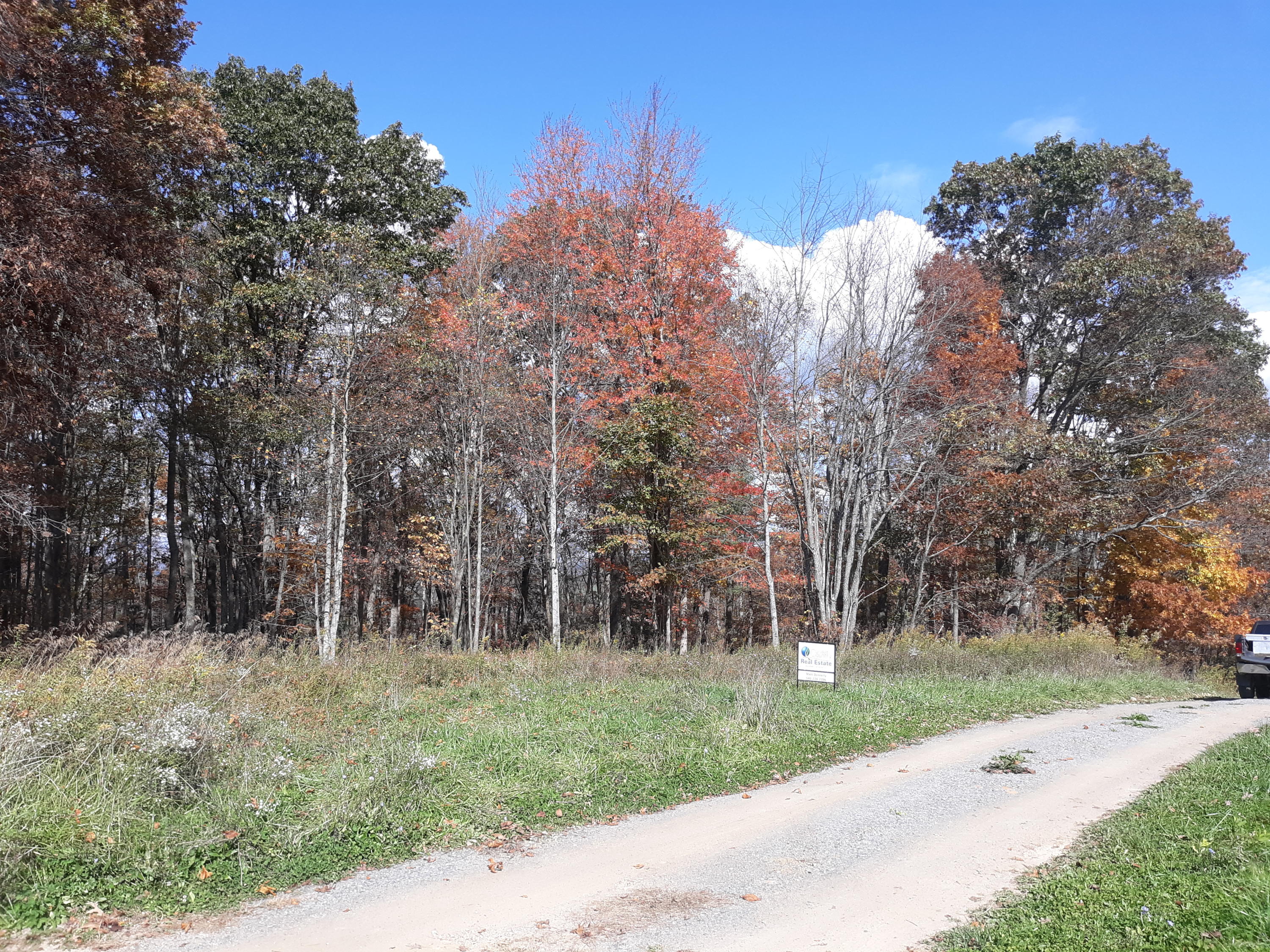0 Midkiff Road Southeast Floyd, VA 24091 - Photo 3 of 6 a view of a park with large trees