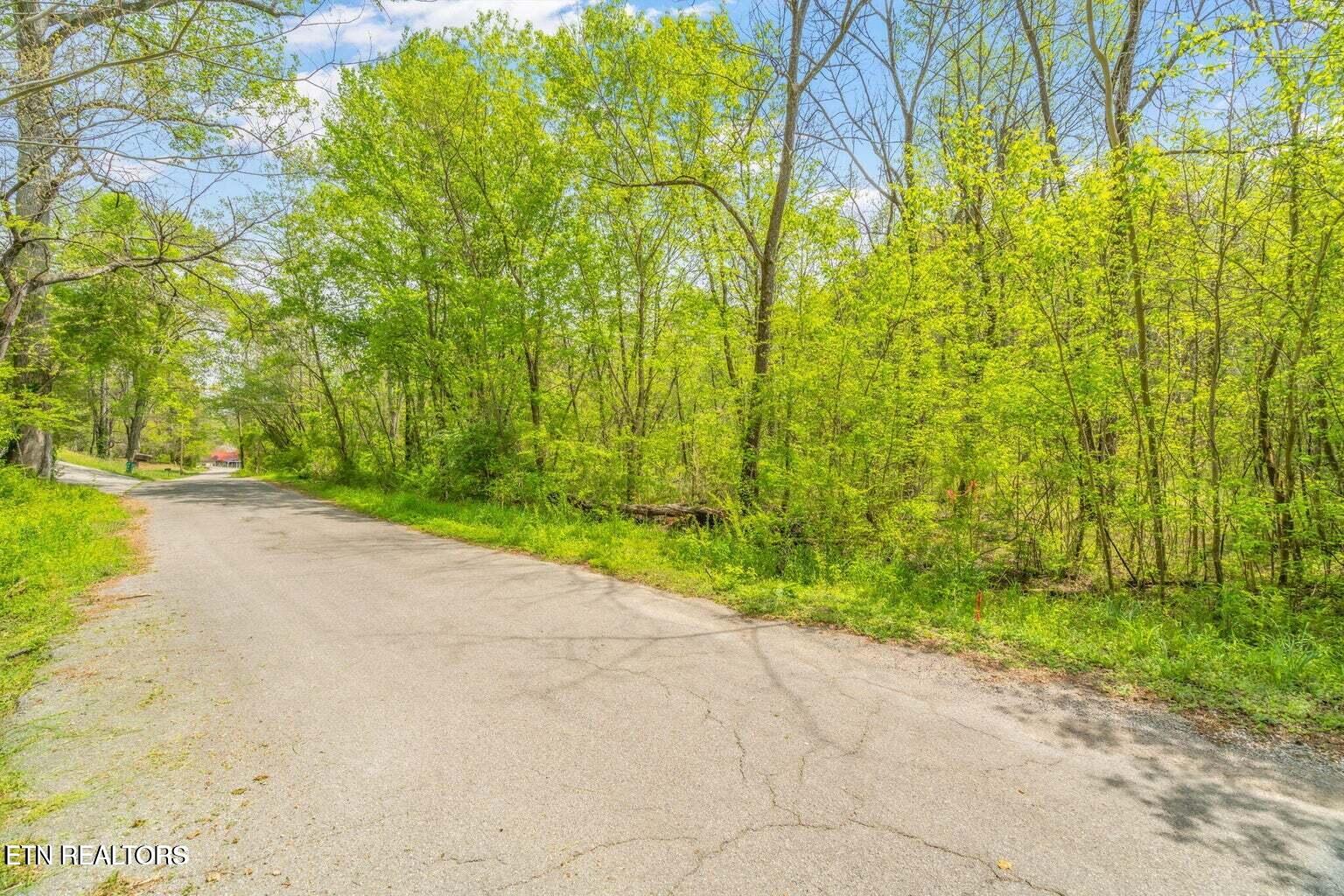 Lot 5 Hen Valley Road Oliver Springs, TN 37840 - Photo 5 of 5 Hen Valley Roadside