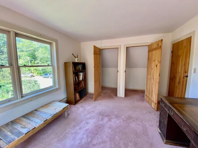 551 Parsonsfield Road Limerick, ME 04048 - Photo 55 of 77 IMG_8969