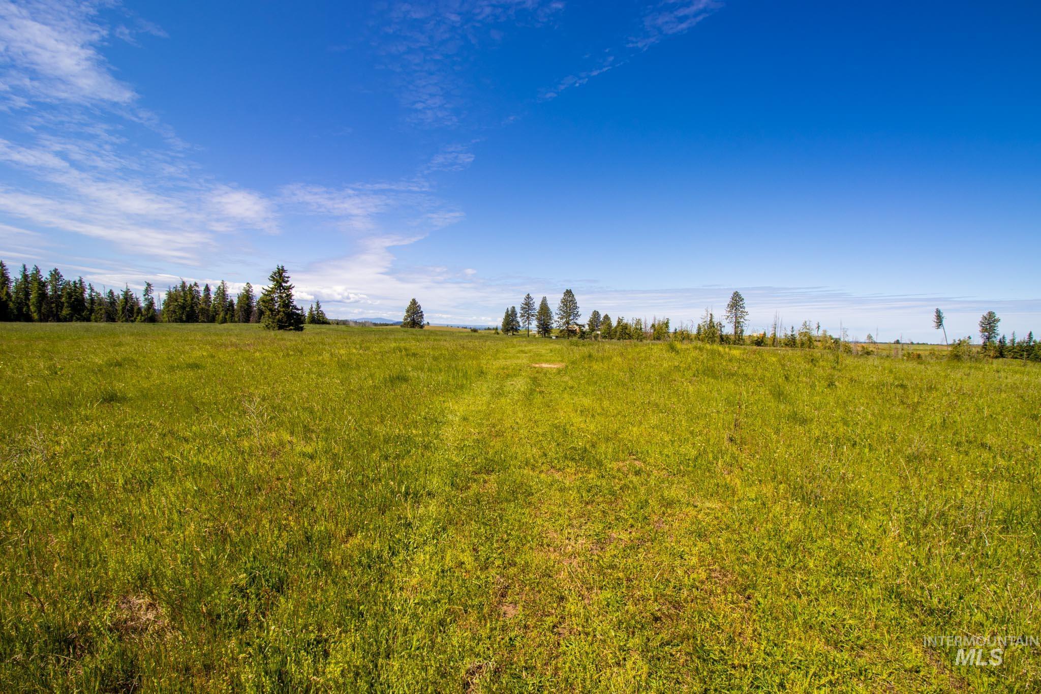 Tbd Green Road Orofino, ID 83544 - Photo 1 of 1 View of local wilderness with rural landscape