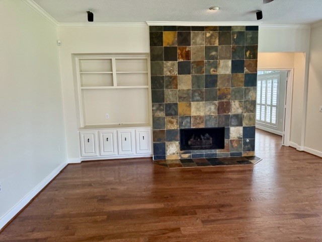 1810 Rippling Water Court Sugar Land, TX 77479 - Photo 6 of 37 Built-in shelving on the focus wall with outlets for your entertainment devices.