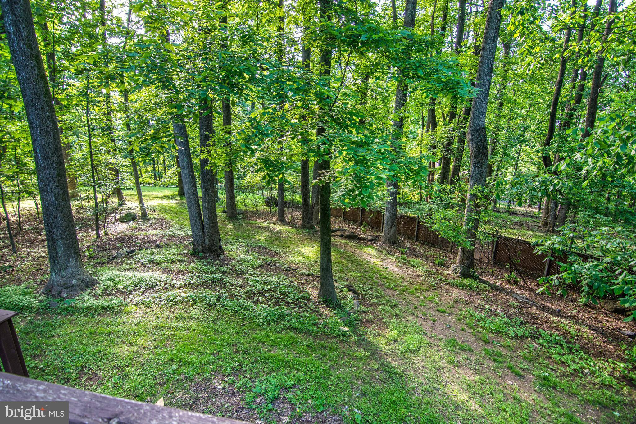 103 Chestnut Trail Road Front Royal, VA 22630 - Photo 12 of 30 Exterior (Rear)