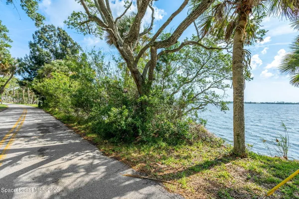 a view of a pathway of a yard