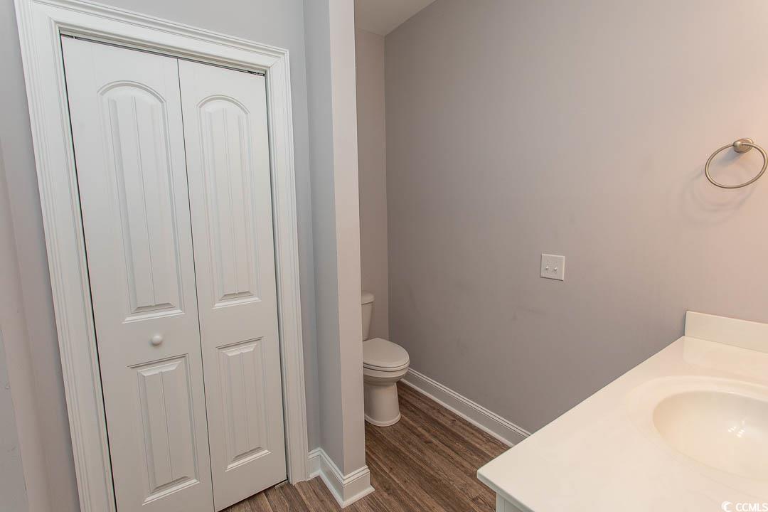 126 Allsbrook Road Loris, SC 29569 - Photo 18 of 30 Bathroom with vanity, a closet, and dark wood-style floors