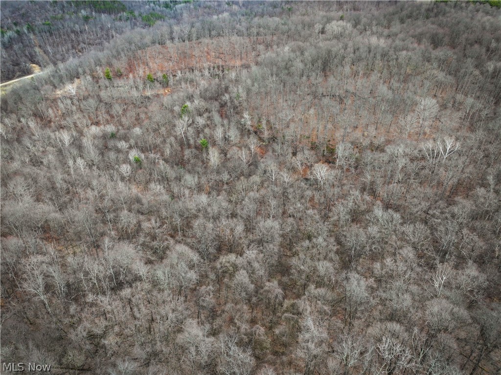 13 Ayers Ridge Lower Salem, OH 45745 - Photo 18 of 32 Bird's eye view of a heavily wooded area