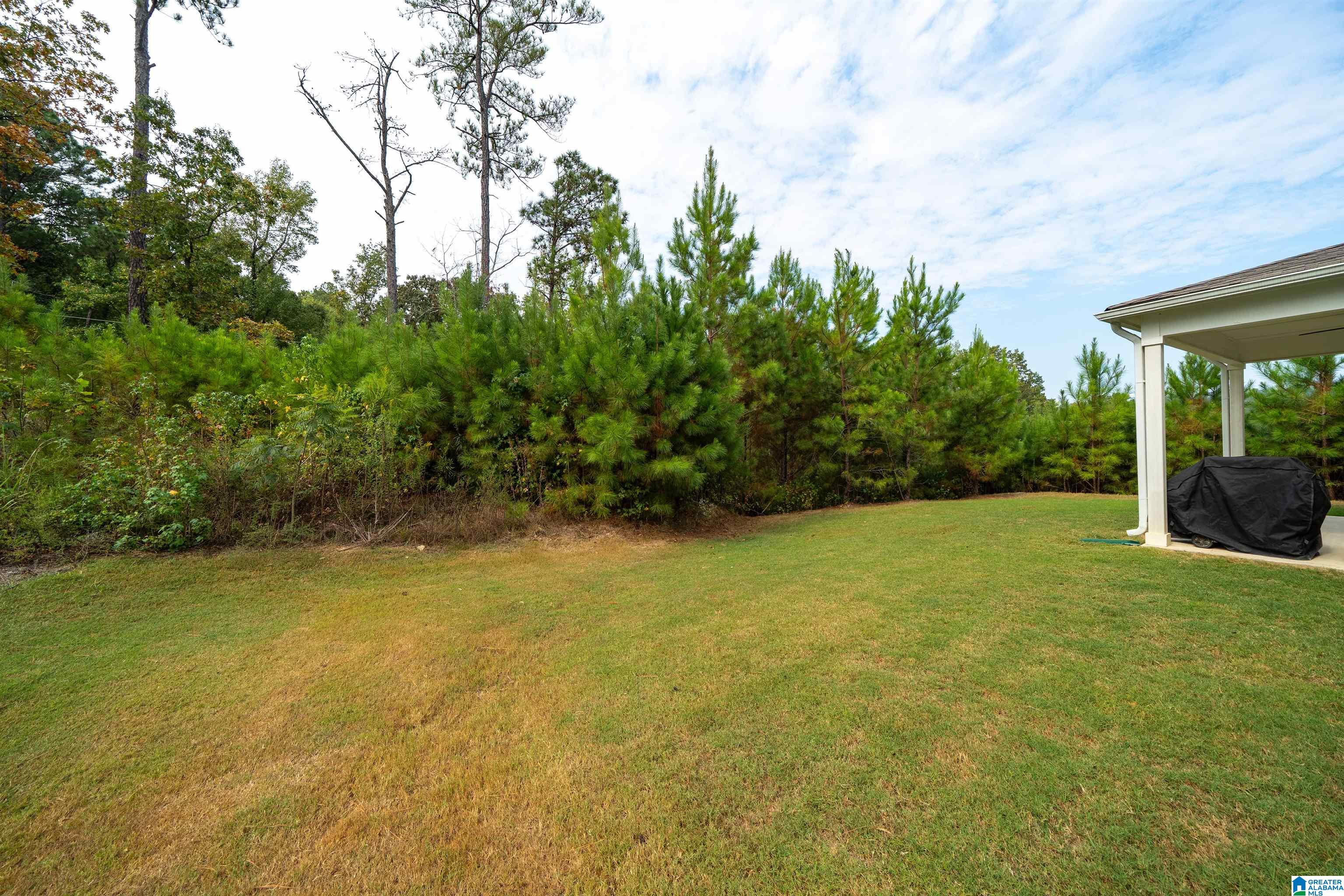 513 Rock Terrace Way Helena, AL 35080 - Photo 29 of 35