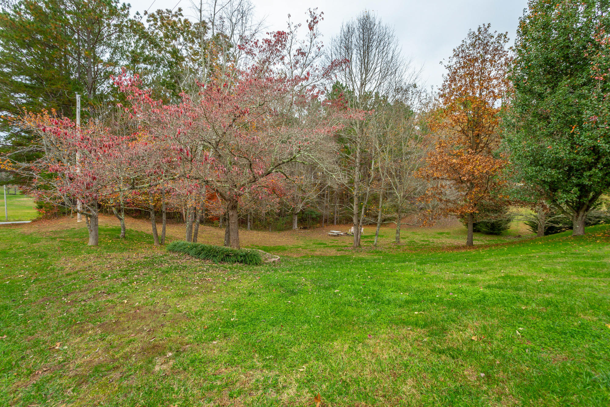 984 Keith Salem Road Ringgold, GA 30736 - Photo 42 of 49 984 Keith Salem Rd. HD-50
