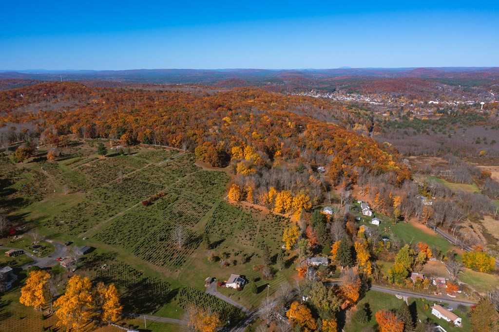 120 Stebbins Road Monson, MA 01057 - Photo 9 of 41 an aerial view of residential houses with outdoor space and trees