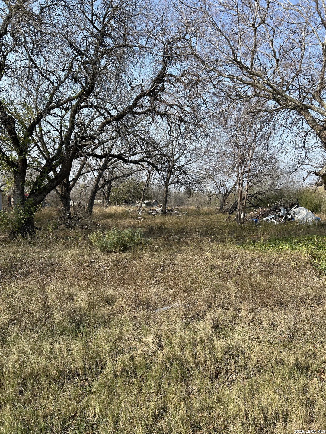 0 Kenagy Atascosa, TX 78002 - Photo 1 of 3 a view of a yard with a tree