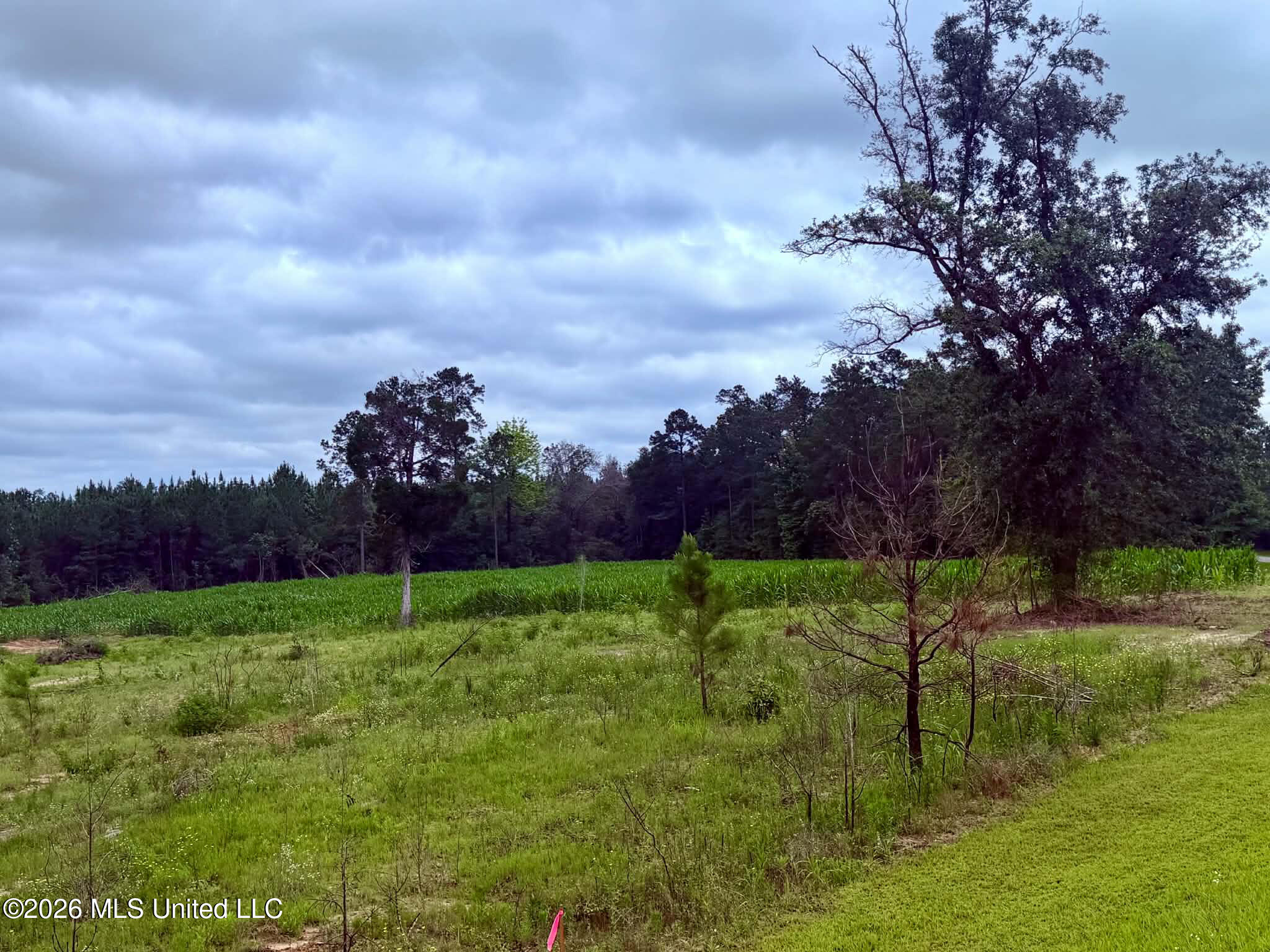 1882 McInnis Vernal Road Lucedale, MS 39452 - Photo 15 of 20 e2db876f-9cf7-4df8-909b-1956984dde21