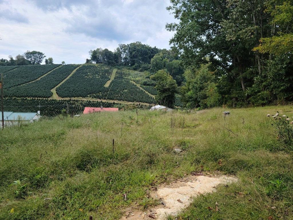 823 Grubmore Road Marion, VA 24354 - Photo 23 of 35 Gallery Image 23
