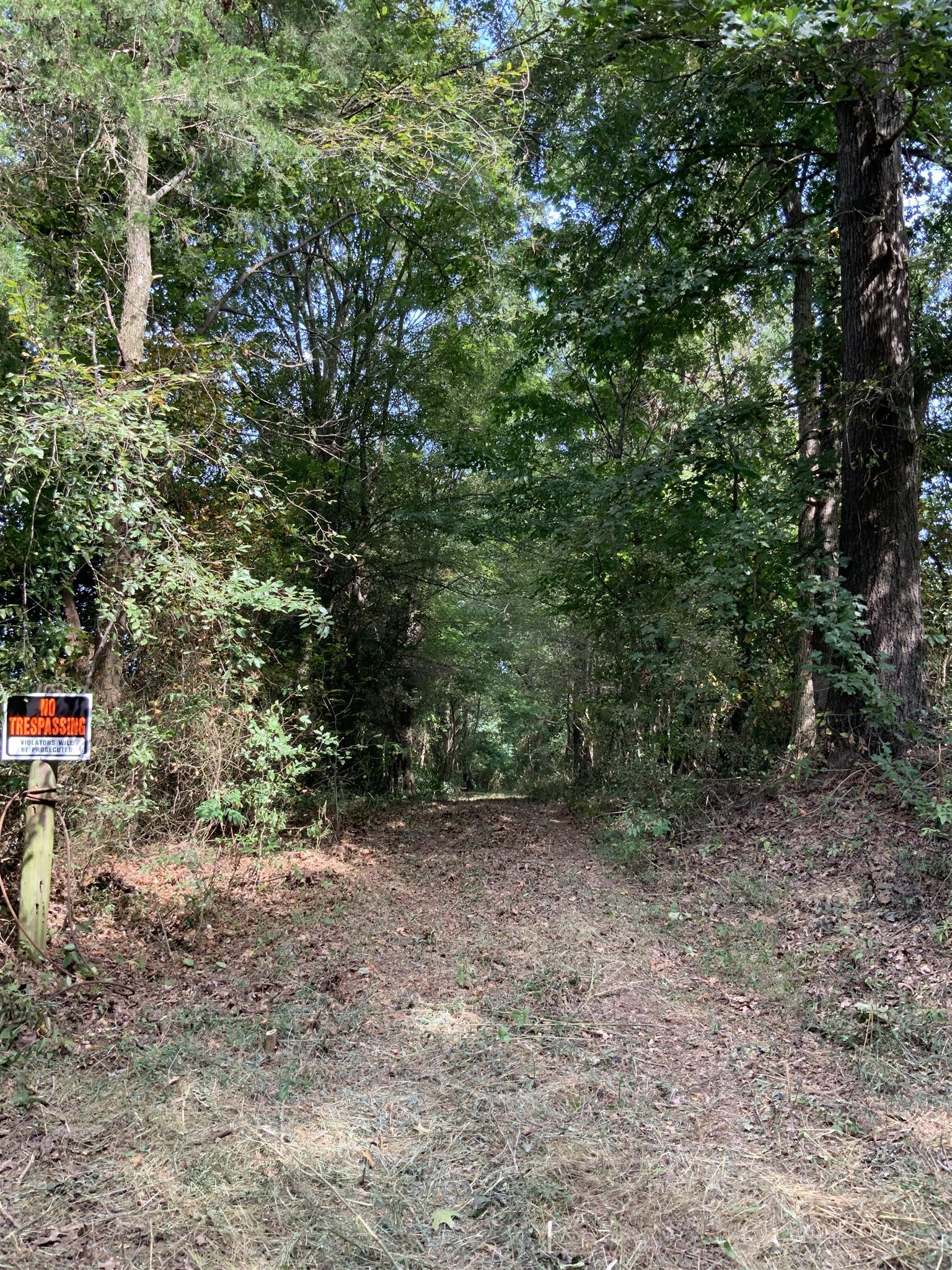 0 Henry Osage Road Henry, TN 38231 - Photo 14 of 15