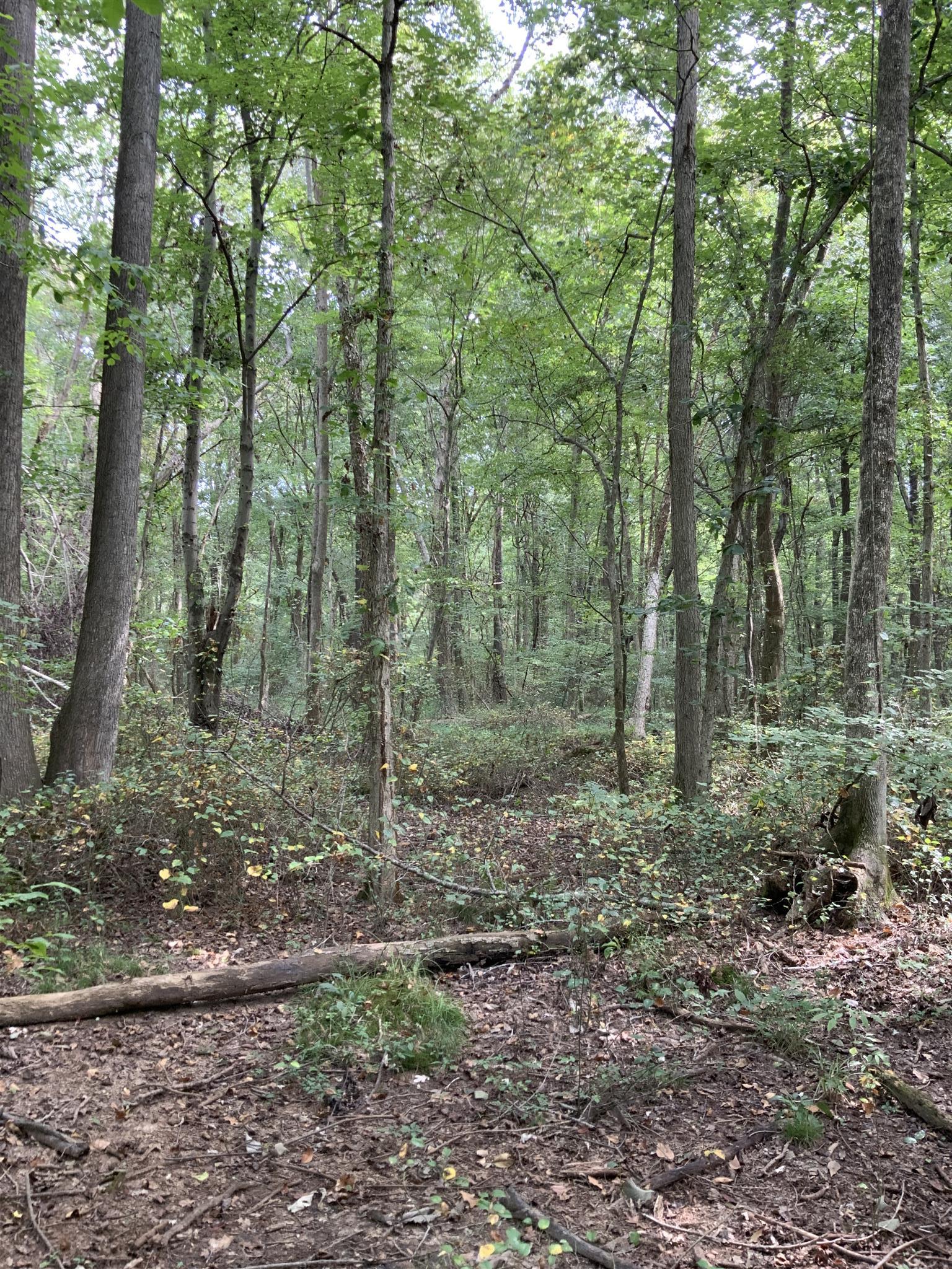 0 Henry Osage Road Henry, TN 38231 - Photo 15 of 15