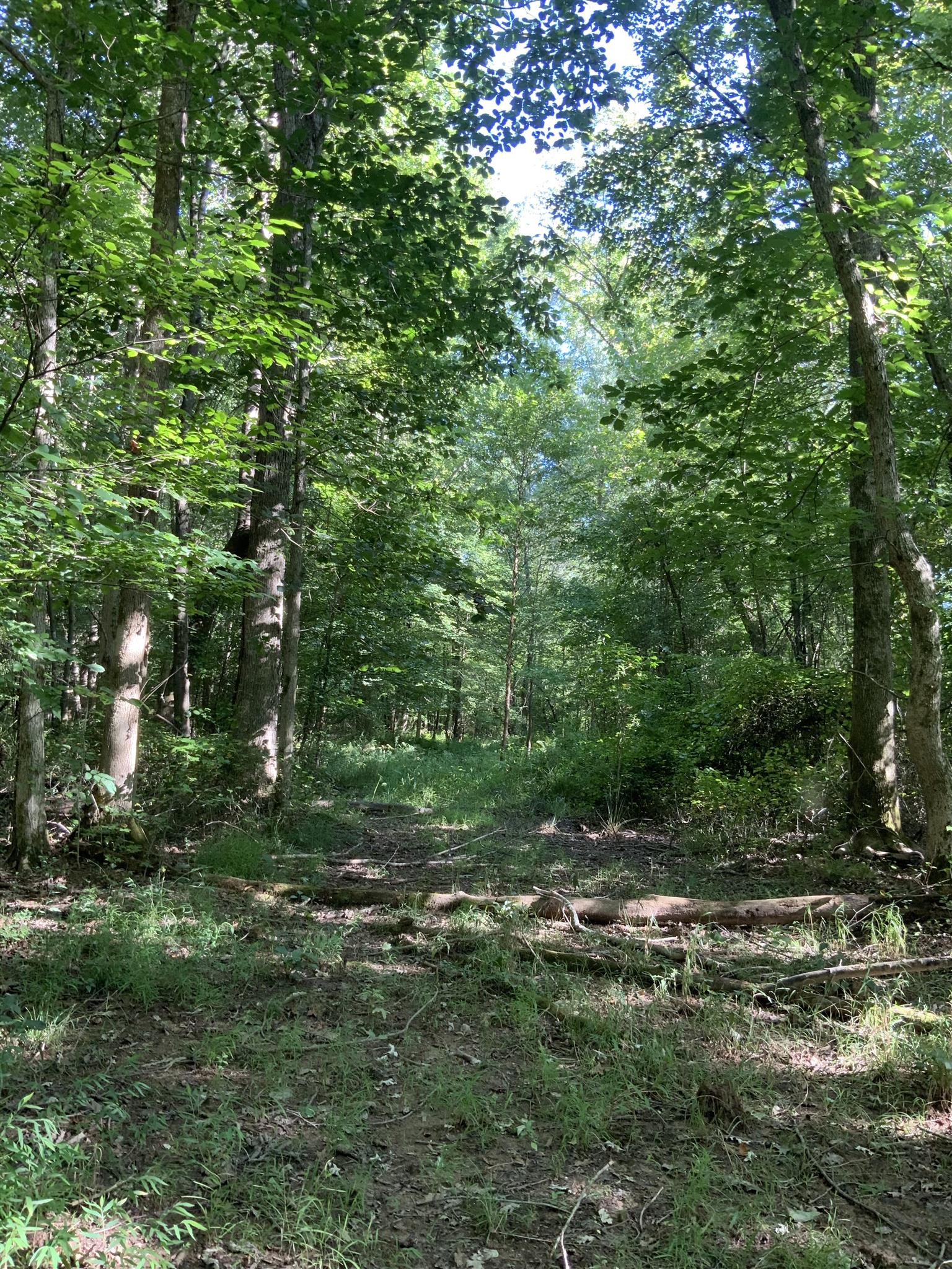 0 Henry Osage Road Henry, TN 38231 - Photo 7 of 15