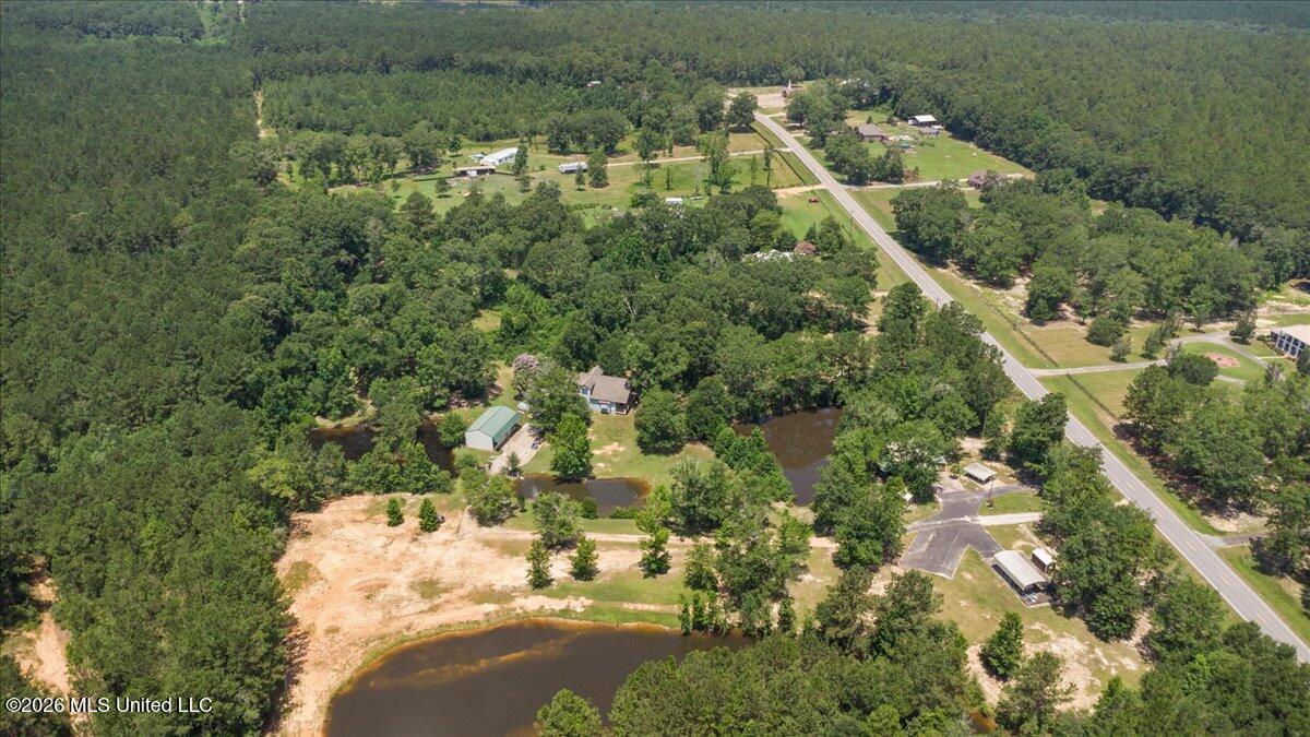993 Highway 29 Wiggins, MS 39577 - Photo 56 of 59 56-DJI_0189
