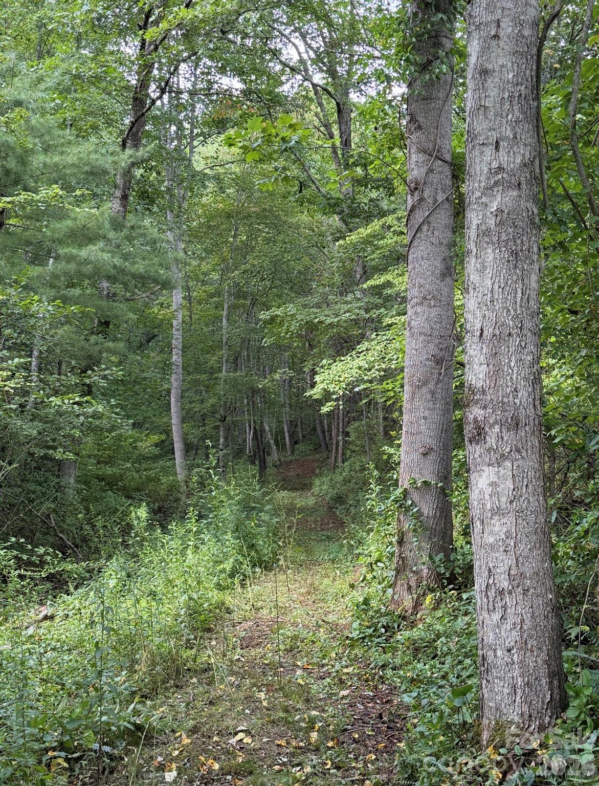 132 Hurd Road Canton, NC 28716 - Photo 38 of 41